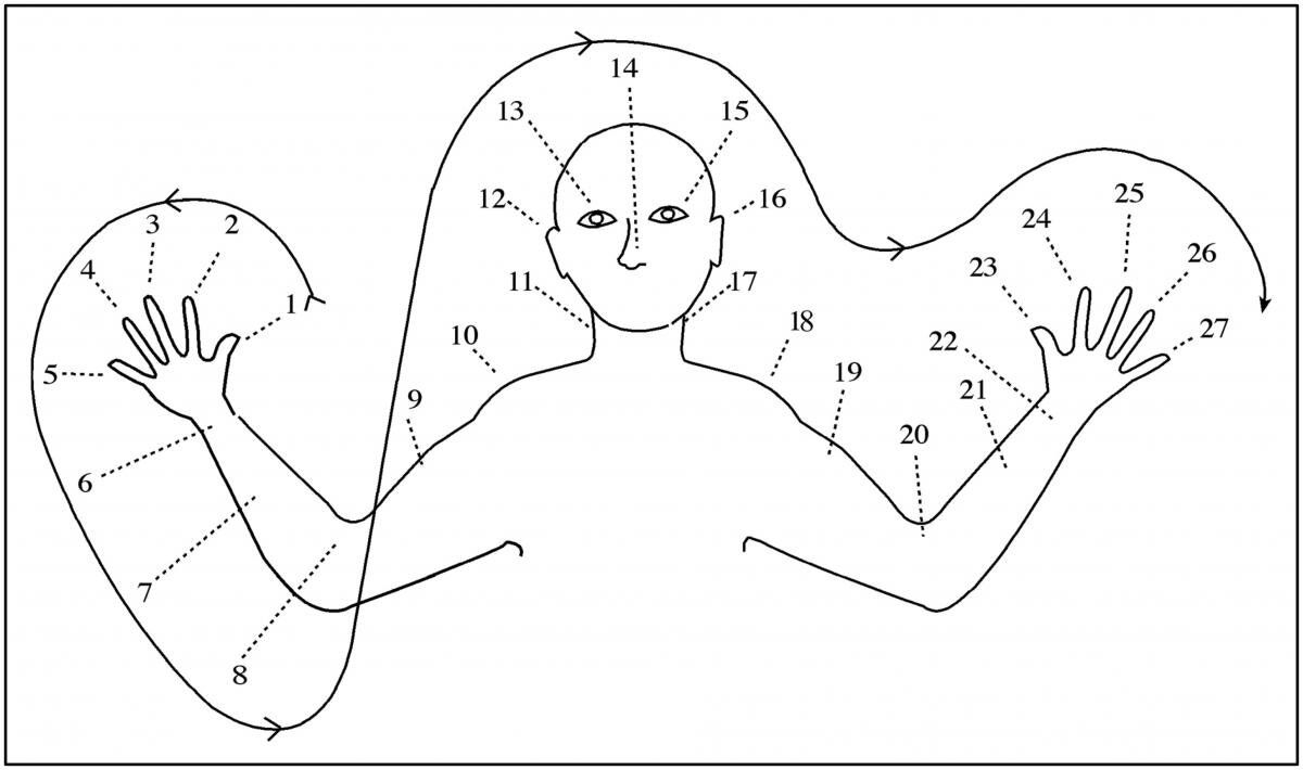 Oksapmin 27-body part count system.