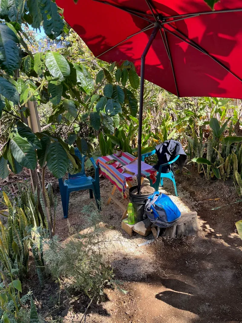 San Pedro 語言學校在花園中以紅色遮陽傘搭建的戶外教學區