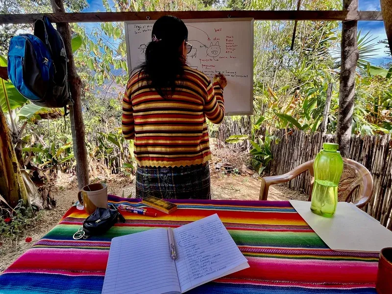 語言學校老師在戶外白板前上西班牙語課